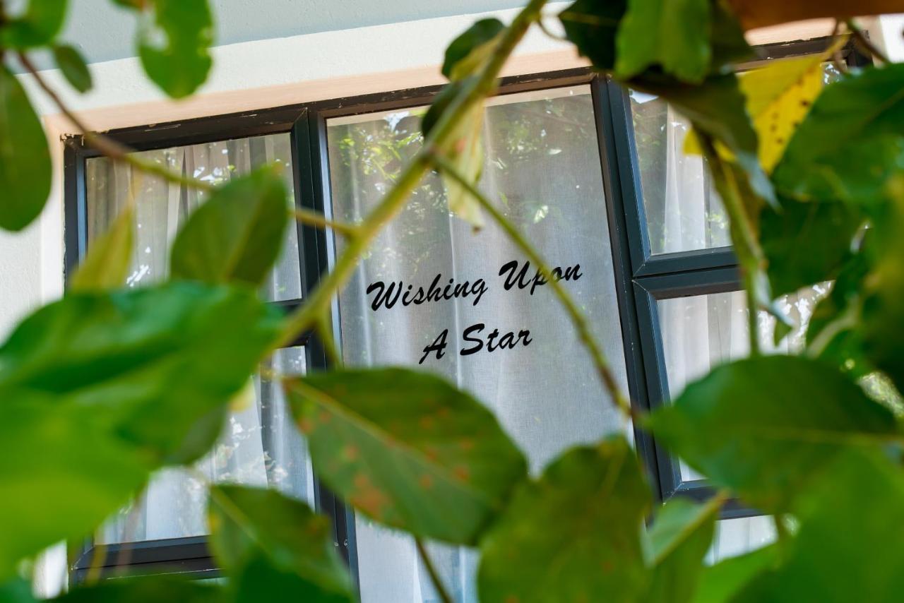 Mt Pleasant Bed And Breakfast Ltd Harare Zewnętrze zdjęcie