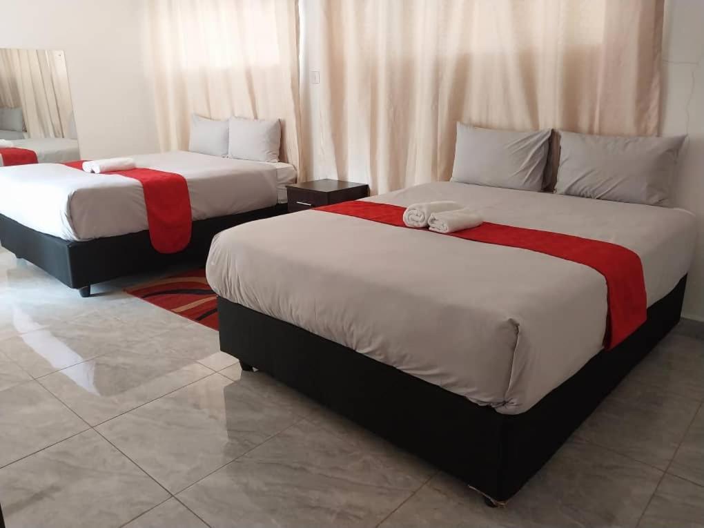 Mt Pleasant Bed And Breakfast Ltd Harare Zewnętrze zdjęcie